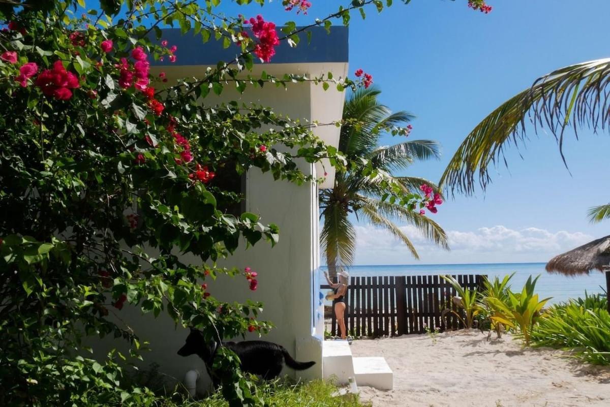 Vila Pronoia Casa De Playa Mahahual Exteriér fotografie