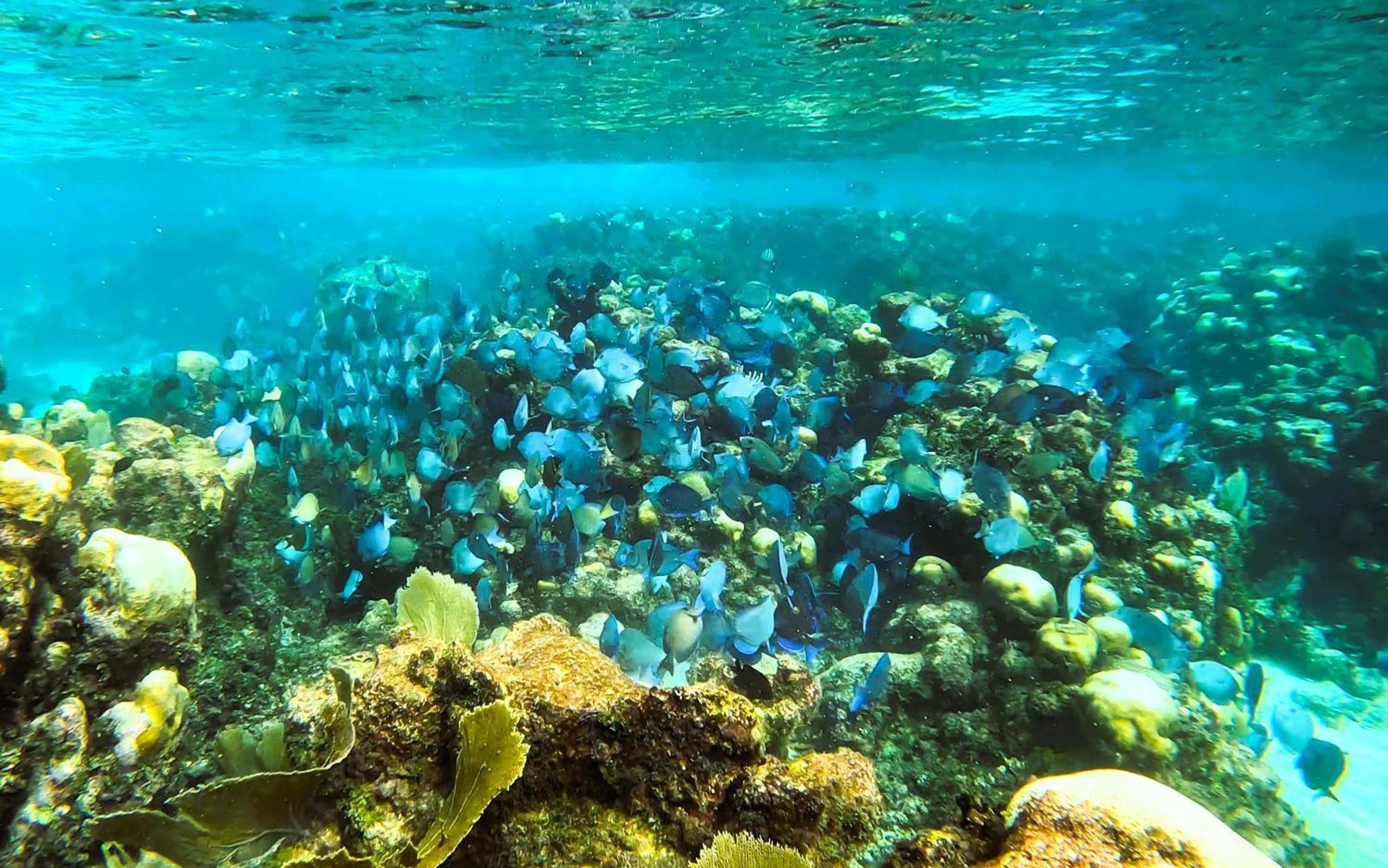 Vila Pronoia Casa De Playa Mahahual Exteriér fotografie