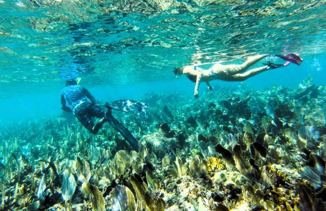 Vila Pronoia Casa De Playa Mahahual Exteriér fotografie